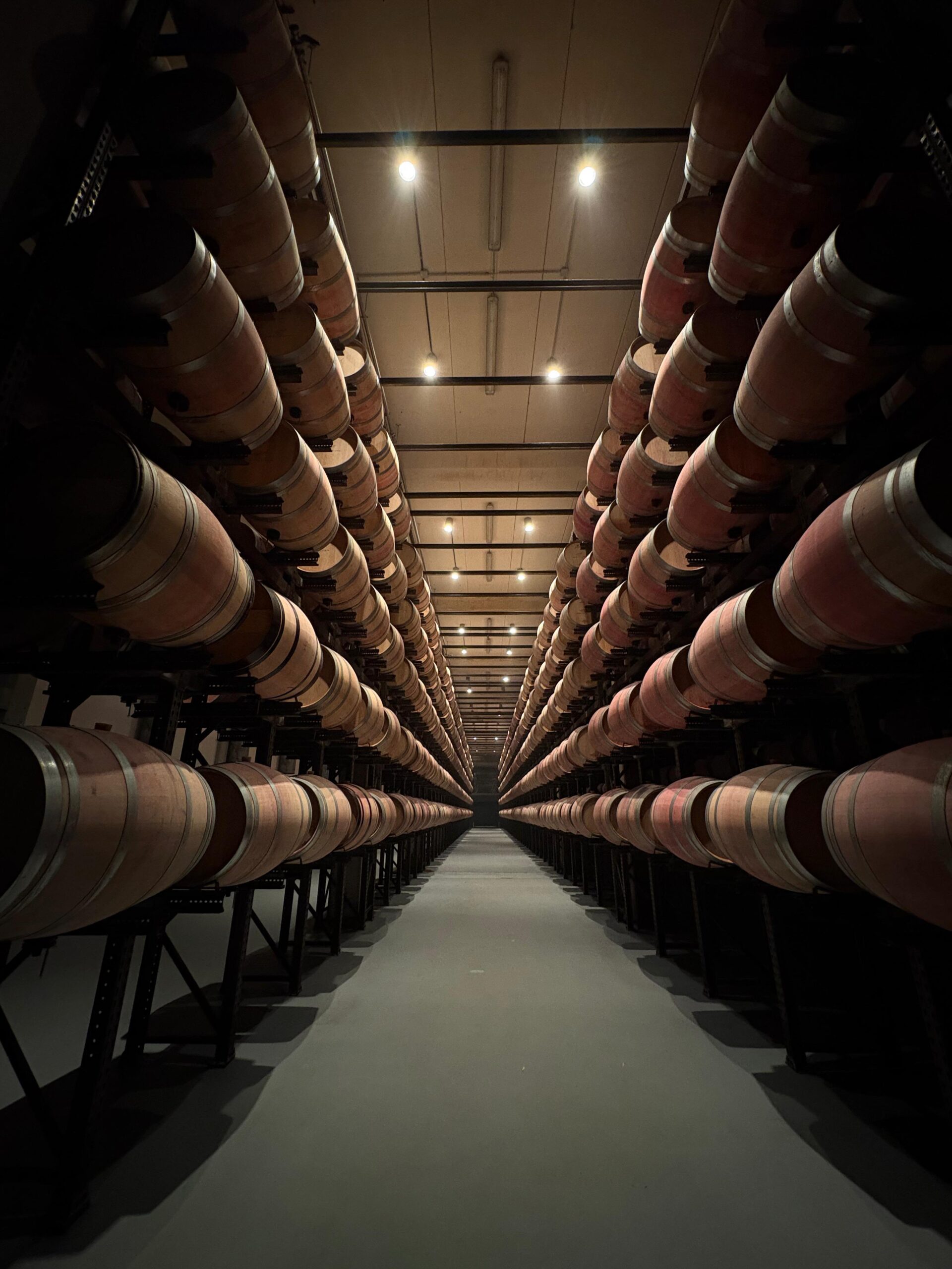 Wine Tourism Madrid